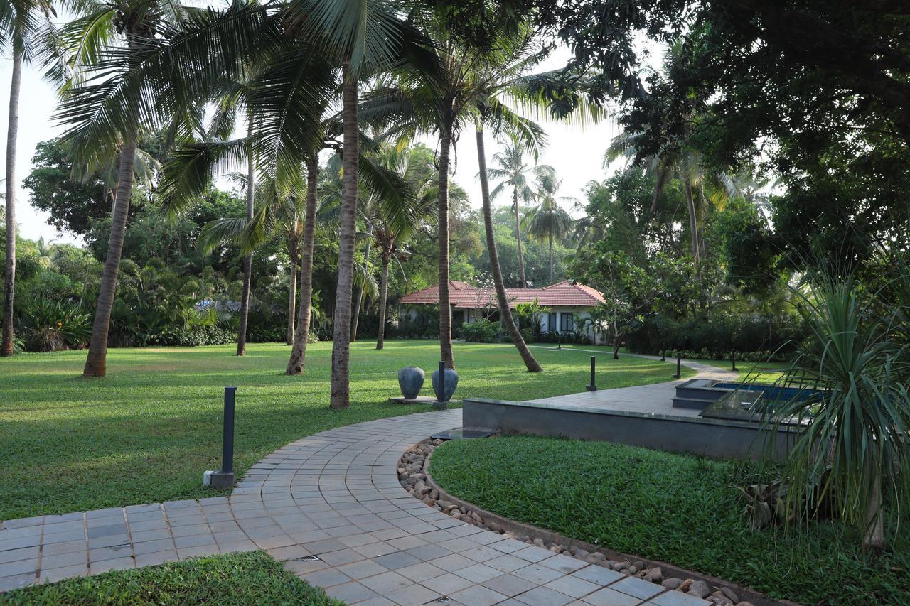 Andores Resort And Spa - Calangute Exterior foto