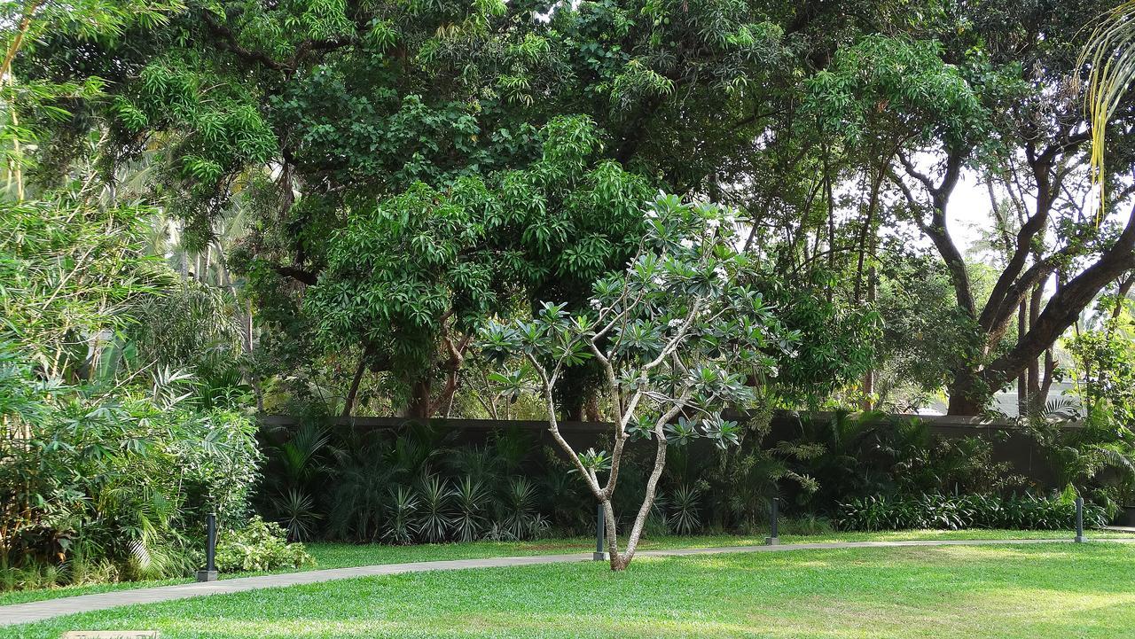 Andores Resort And Spa - Calangute Exterior foto